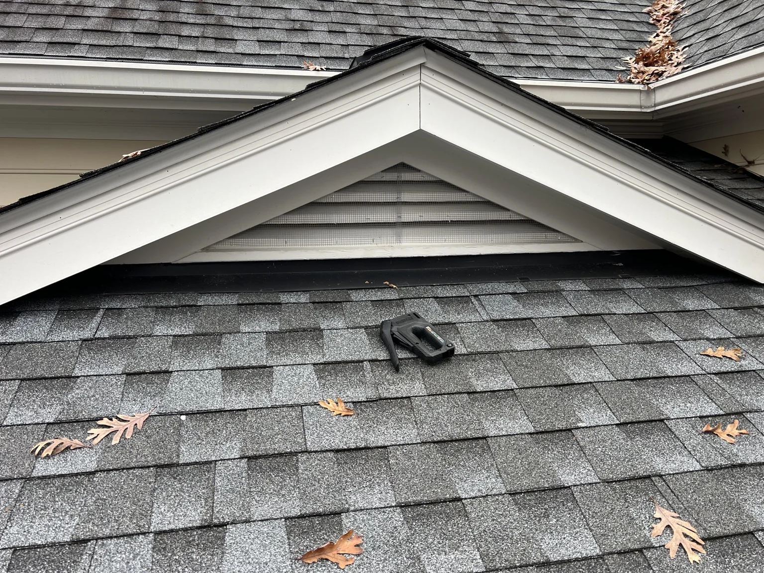 Screening installed across a triangular exterior gable vent